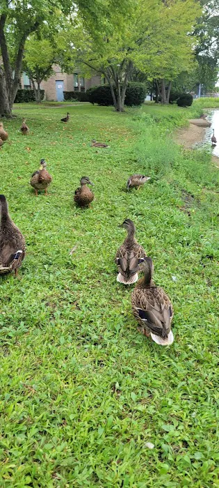 The Shannon Center Picture 1