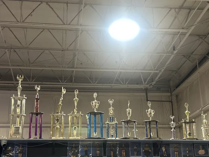 Tumbling 4 Cheerleading Association Picture 3