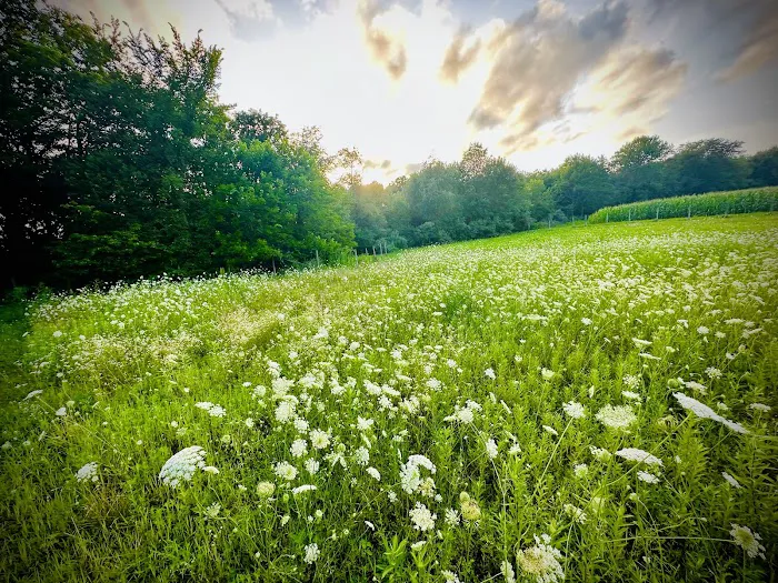 The Healing Spirit Picture 2