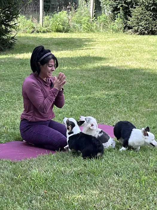 The Healing Spirit Picture 4