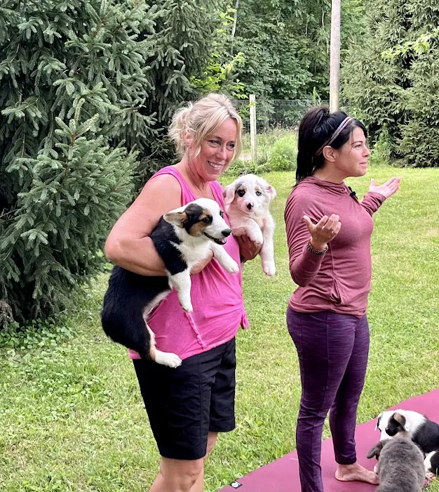 The Healing Spirit Picture 8