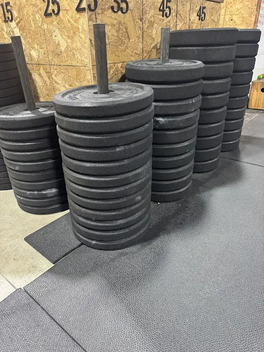 CrossFit Influence Picture 7