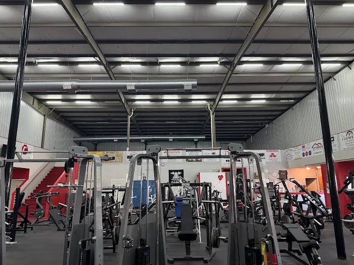 Hammer Strength And Fitness Picture 2