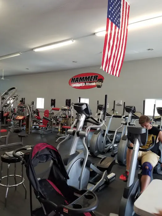 Hammer Strength And Fitness Picture 3