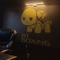 B1 Boxing ico