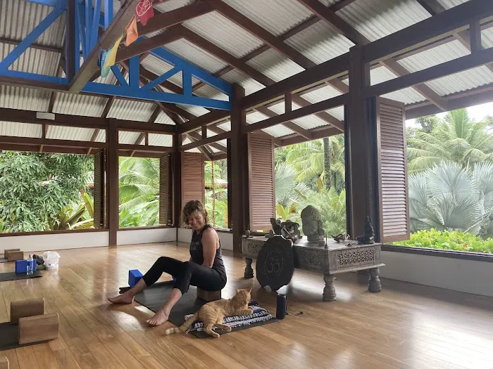 Yogamour Yoga & Healing Arts Center Picture 10
