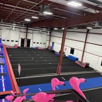 Hession Cheer Academy ico