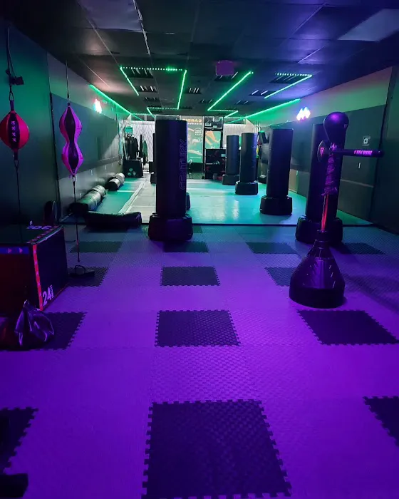 Velocity Fitness Picture 4