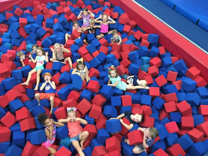 American Gymnastics Romeo Picture 5