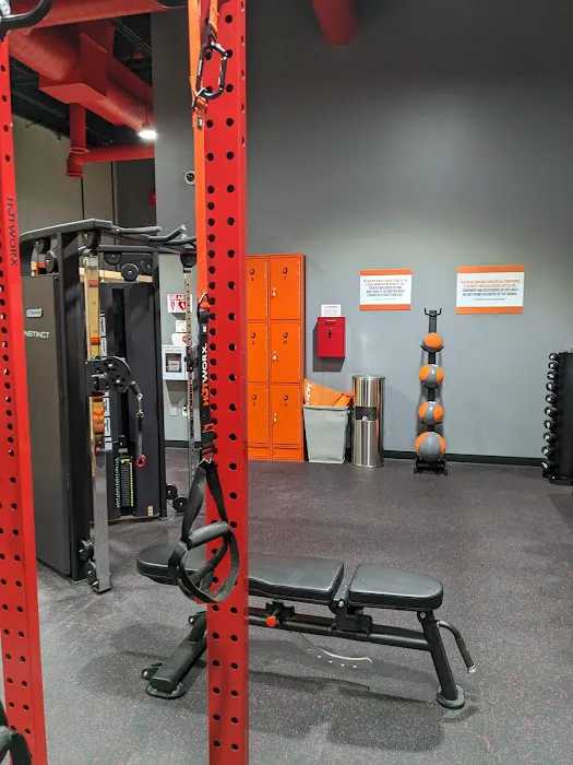 HOTWORX - Oxford, MI - Lake Orion Picture 10