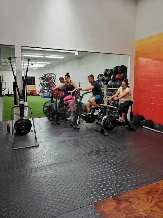 Obscurus Strength & Fitness Picture 8