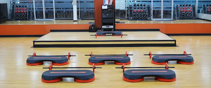 Onelife Fitness - South Frederick Picture 6