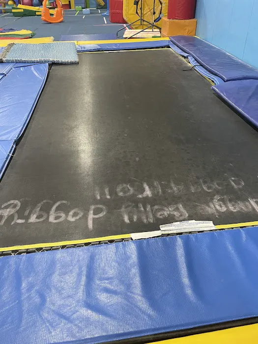 Frederick Gymnastics Club Picture 4