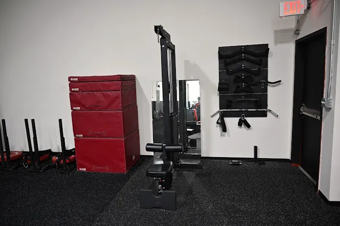 PR Strength Picture 7