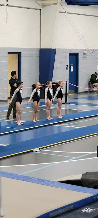 Westminster School of Gymnastics & Cheer Picture 1