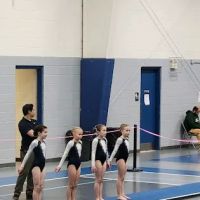 Westminster School of Gymnastics & Cheer ico