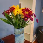 Claybrook Yoga and Pots
