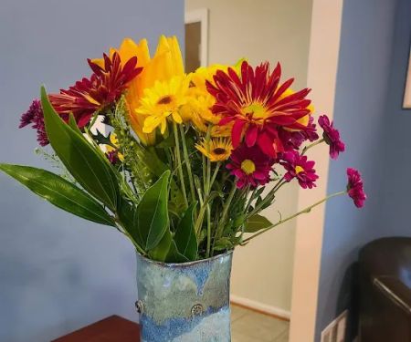 Claybrook Yoga and Pots