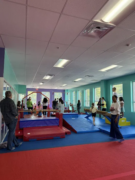 The Little Gym of Silver Spring Picture 7