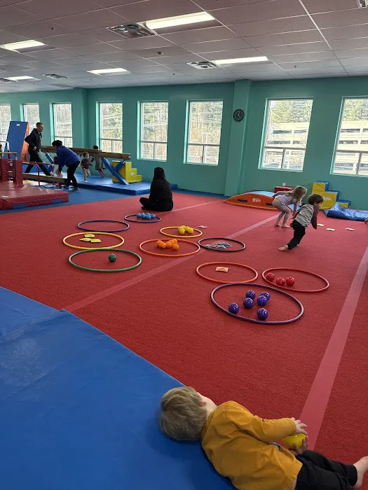 The Little Gym of Silver Spring Picture 8