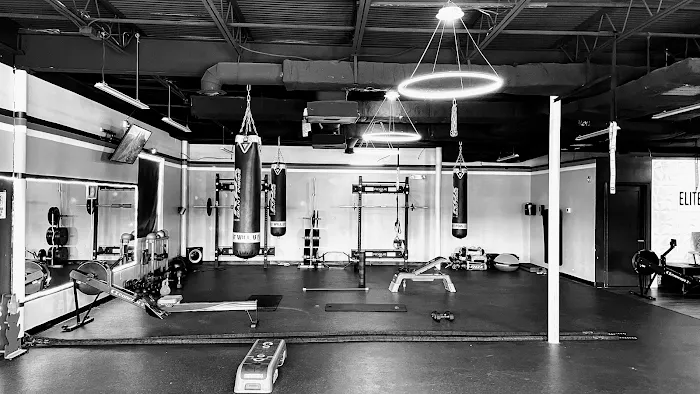 Elite Bodies, LLC Picture 6