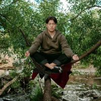 Life in Yoga Institute Inc ico