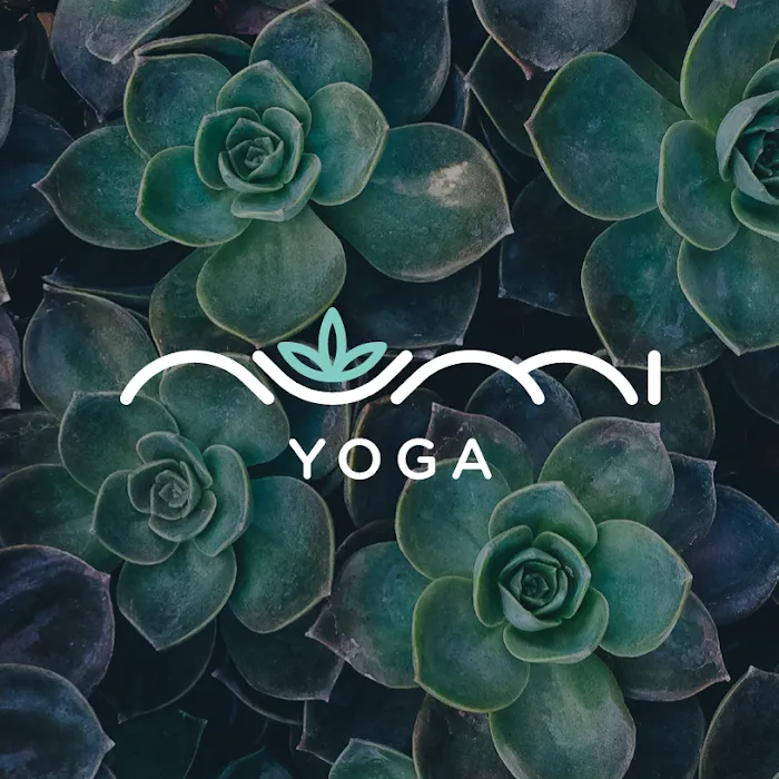 Numi Yoga Picture 10
