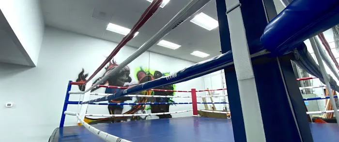 Level Up Boxing & Fitness Picture 3