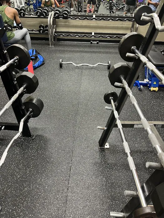Gold's Gym Picture 3