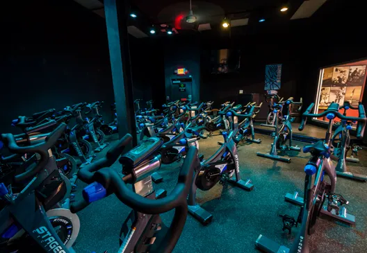 Gold's Gym Picture 4