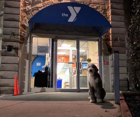 Silver Spring YMCA
