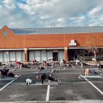 LifeCYCLE Fitness Studio