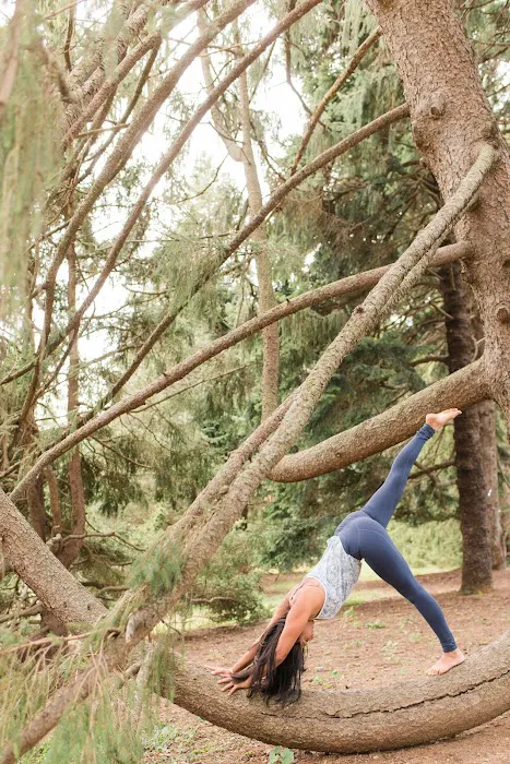 Yoga Bliss Studios Picture 1