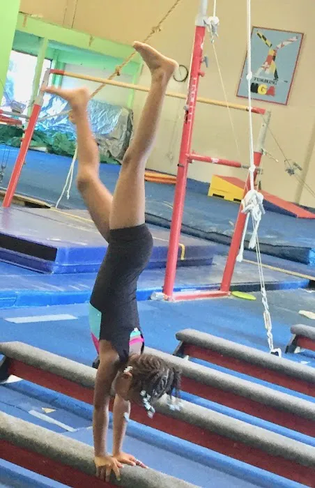 MGA Gymnastics Bowie Picture 1