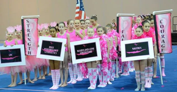 MGA Gymnastics Bowie Picture 6