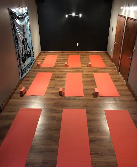 Forest Hill Health & Fitness Picture 5
