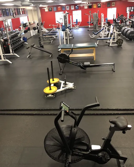 Forest Hill Health & Fitness Picture 2