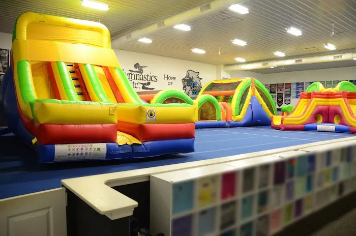 Gymnastics Etc. Picture 1