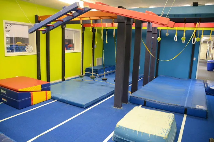 Gymnastics Etc. Picture 8