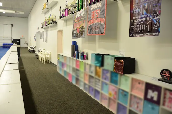 Gymnastics Etc. Picture 10