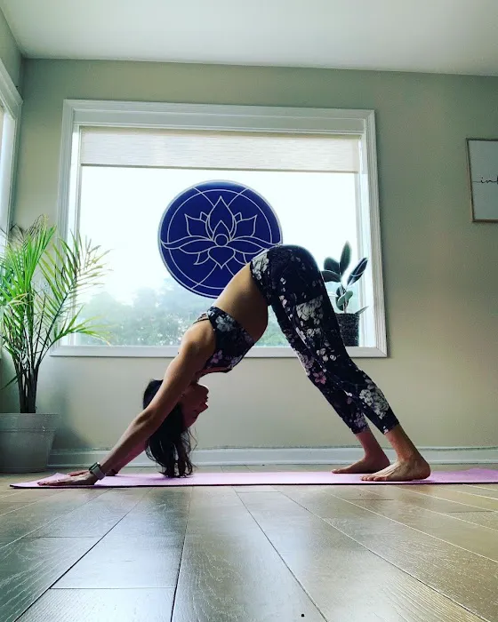 Lotus Strength Yoga Picture 8