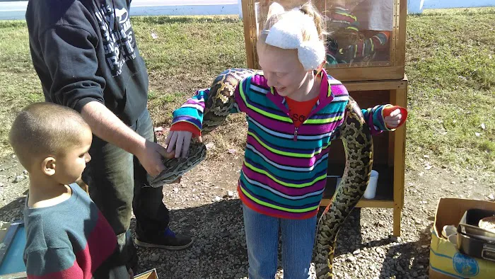 Louisville Gymnastics Mt Washington Picture 7
