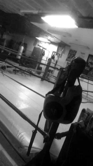 Rock'em Sock'em Boxing & Kickboxing Picture 9