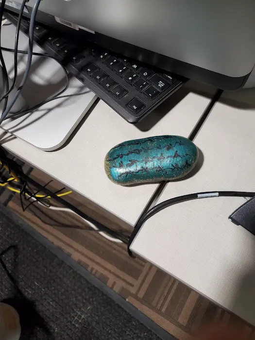 USI Recreation Fitness & Wellness Center Picture 7