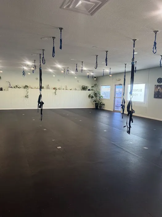 Flying Buddha Fitness LLC - Bungee, Aerial, Pilates and Yoga Picture 1