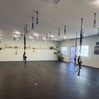 Flying Buddha Fitness LLC - Bungee, Aerial, Pilates and Yoga ico