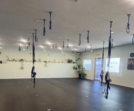 Flying Buddha Fitness LLC - Bungee, Aerial, Pilates and Yoga