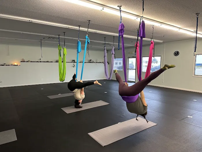 Flying Buddha Fitness LLC - Bungee, Aerial, Pilates and Yoga Picture 4