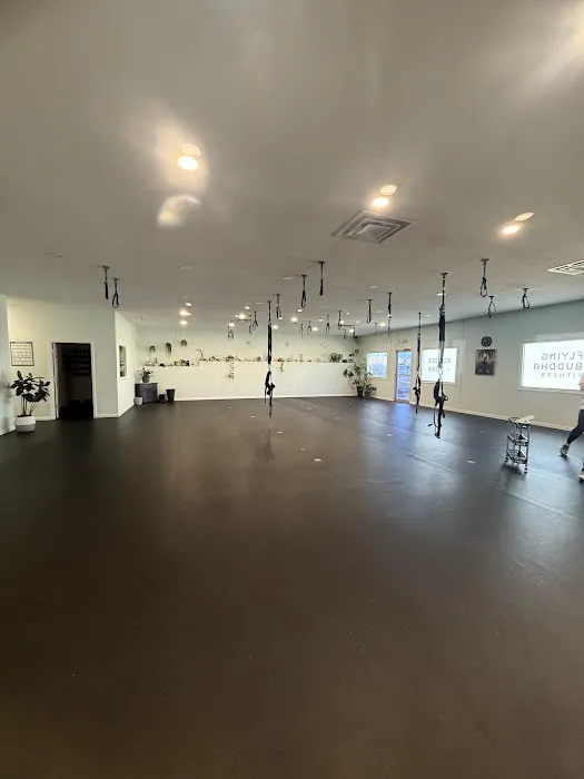 Flying Buddha Fitness LLC - Bungee, Aerial, Pilates and Yoga Picture 6