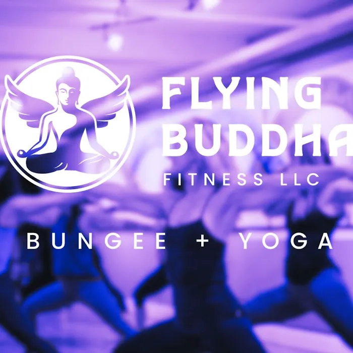 Flying Buddha Fitness LLC - Bungee, Aerial, Pilates and Yoga Picture 7